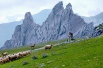 Activités de team building au coeur des Pyrénées