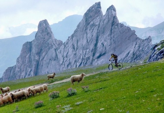 Activités de team building au coeur des Pyrénées